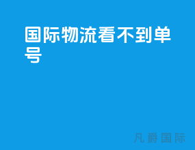 国际物流看不到单号