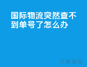 国际物流突然查不到单号了怎么办
