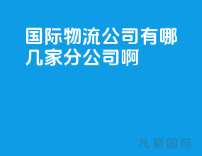 国际物流公司有哪几家分公司啊