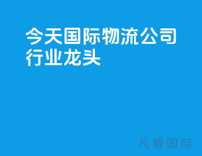 今天国际物流公司行业龙头