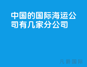中国的国际海运公司有几家分公司