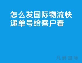 怎么发国际物流快递单号给客户看