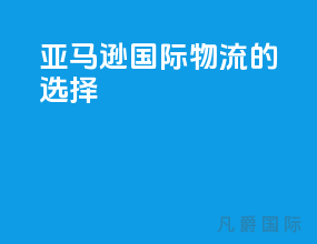 亚马逊国际物流的选择