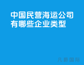 中国民营海运公司有哪些企业类型