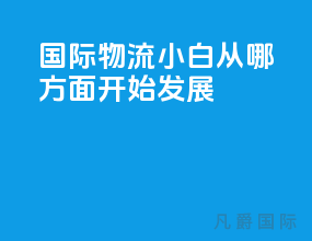 国际物流小白从哪方面开始发展