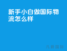新手小白做国际物流怎么样