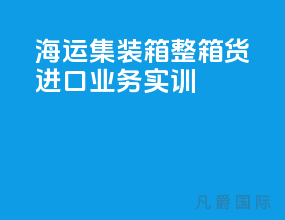 海运集装箱整箱货进口业务实训