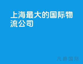 上海最大的国际物流公司