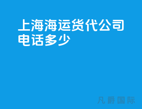 上海海运货代公司电话多少