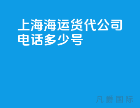 上海海运货代公司电话多少号
