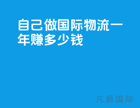 自己做国际物流一年赚多少钱