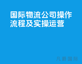 国际物流公司操作流程及实操运营