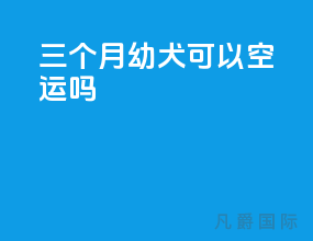 三个月幼犬可以空运吗
