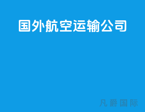 国外航空运输公司