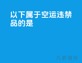 以下属于空运违禁品的是