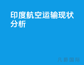 印度航空运输现状分析
