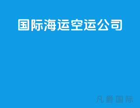 国际海运空运公司
