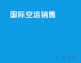 国际空运销售