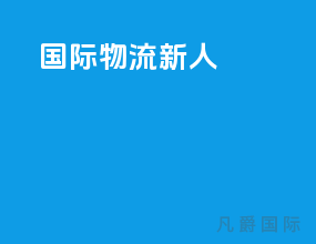 国际物流新人