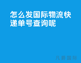 怎么发国际物流快递单号查询呢