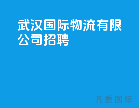 武汉国际物流有限公司招聘