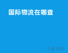 国际物流在哪查
