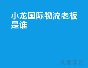 小龙国际物流老板是谁