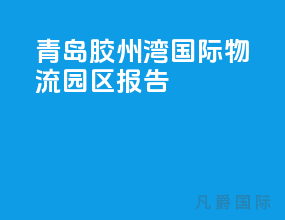 青岛胶州湾国际物流园区报告