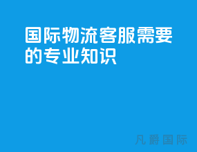 国际物流客服需要的专业知识