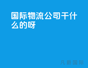 国际物流公司干什么的呀
