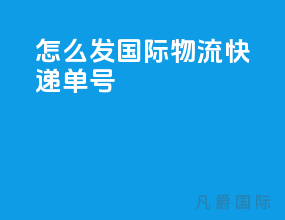 怎么发国际物流快递单号