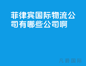 菲律宾国际物流公司有哪些公司啊
