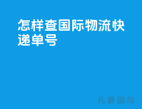 怎样查国际物流快递单号
