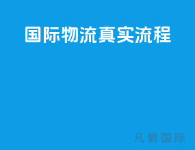 国际物流真实流程