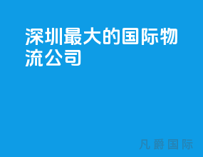 深圳最大的国际物流公司