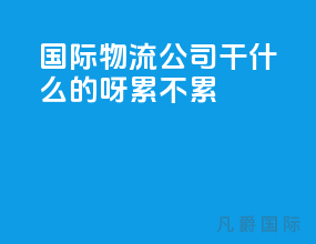 国际物流公司干什么的呀累不累