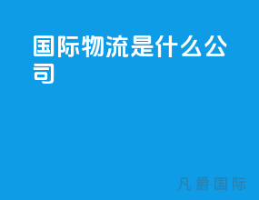 国际物流是什么公司