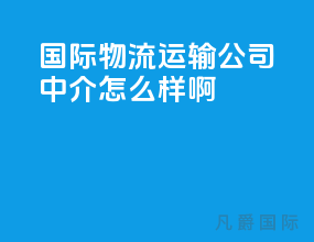 国际物流运输公司中介怎么样啊