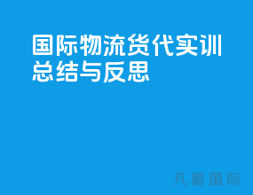 国际物流货代实训总结与反思