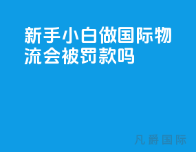 新手小白做国际物流会被罚款吗