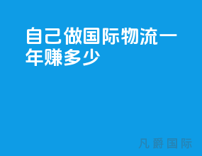 自己做国际物流一年赚多少