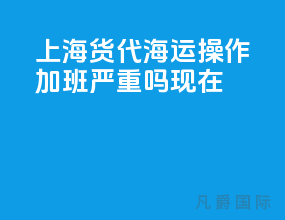 上海货代海运操作加班严重吗现在