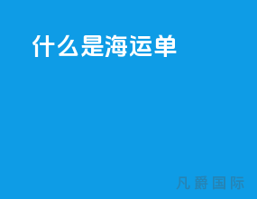 什么是海运单swb