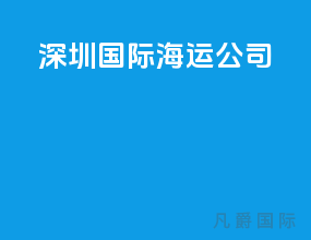 深圳国际海运公司