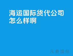 海运国际货代公司怎么样啊