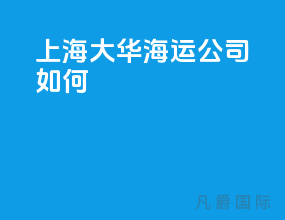 上海大华海运公司如何
