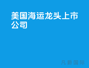 美国海运龙头上市公司