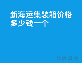 新海运集装箱价格多少钱一个