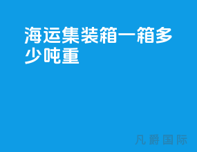 海运集装箱一箱多少吨重