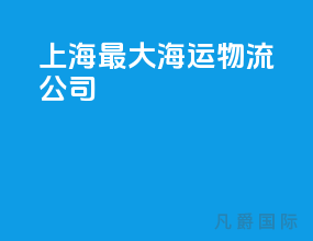 上海最大海运物流公司